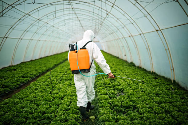 Best Best Pest Control Companies  in Summit, IL