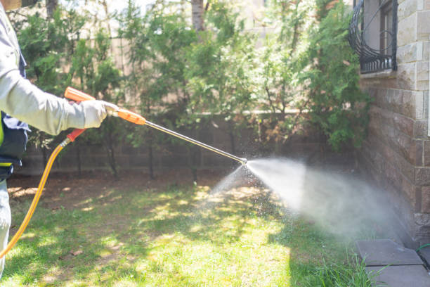 Best Cockroach Control Services  in Summit, IL