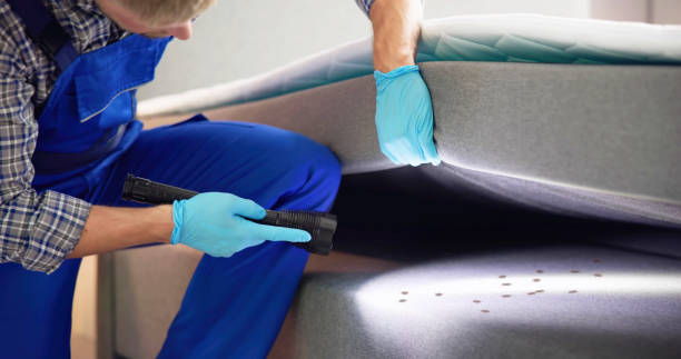Best Exterminator Services  in Summit, IL